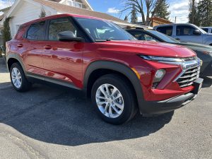 Image of a red Blazer