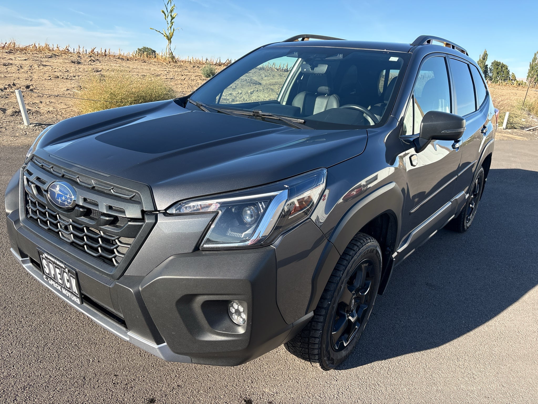 2023 Subaru Forester Wilderness